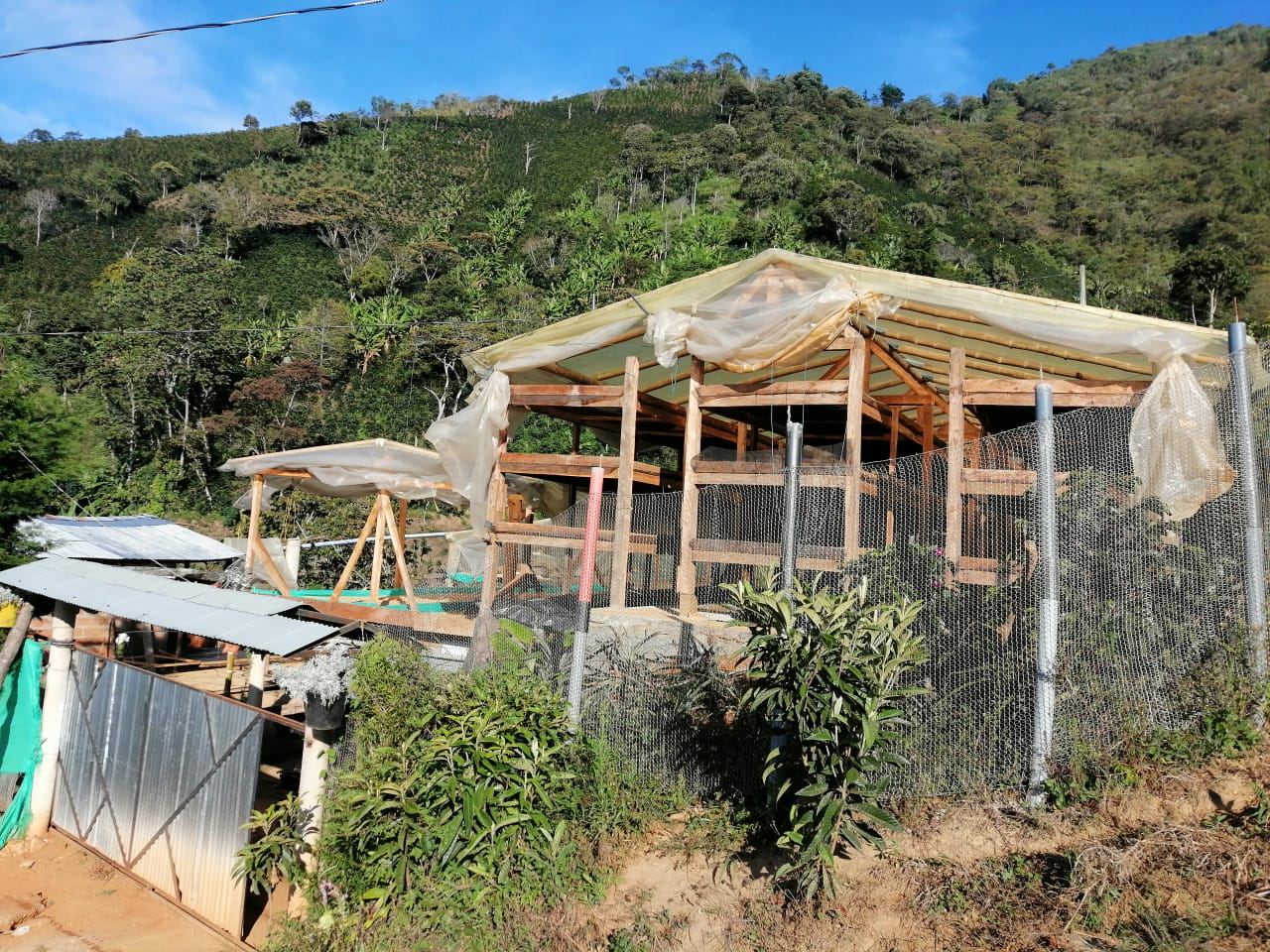 Drying beds